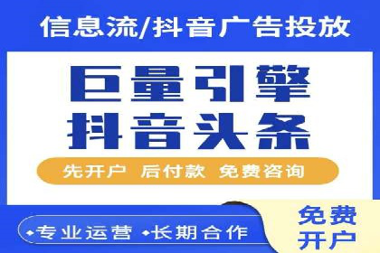 专业SEM服务公司案例分析报告